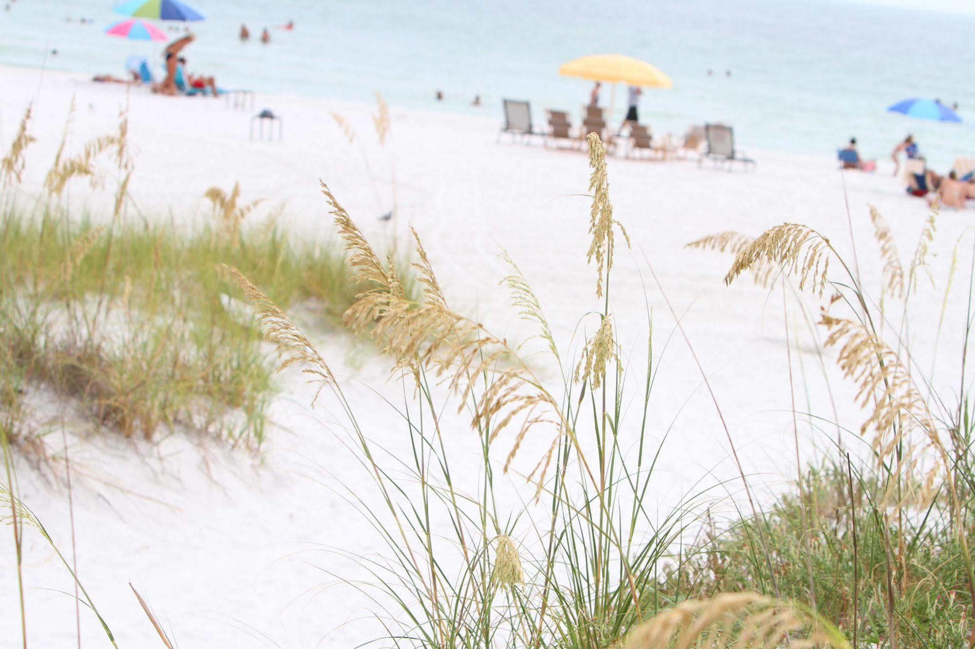 Beach Club At Siesta Key By Rva Extérieur photo